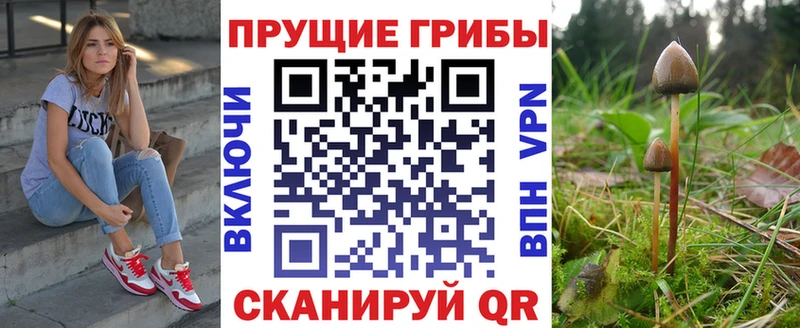 Псилоцибиновые грибы мицелий Байкальск